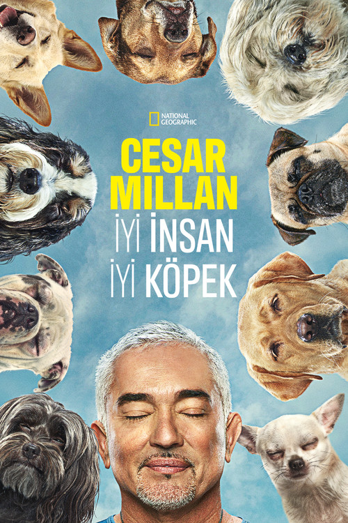 Cesar Millan: Better Human, Better Dog